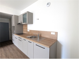appartement à la location -   64120  SAINT-PALAIS, surface 45 m2 location appartement - APR698973